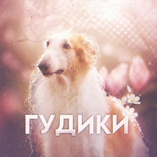 Telegram profile photo for good dogs💘