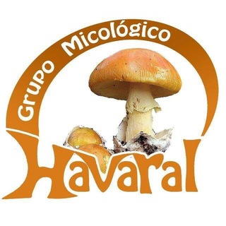 Telegram profile photo for GRUPO MICOLÓGICO HAVARAL