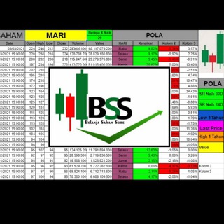 Telegram profile photo for BSS.SAHAMINDONESIA (NO TITIP DANA)