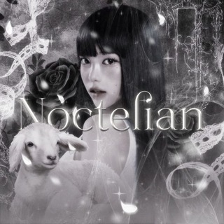 Telegram profile photo for Noctelian π