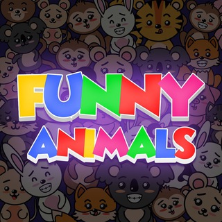 Telegram profile photo for FUNNY ANIMALS 🙈