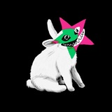 Telegram profile photo for zverevs lair