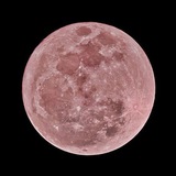 Telegram profile photo for Кофе с молоком и маленький не русский мальчик