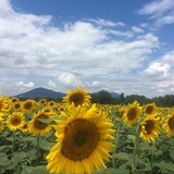 Telegram profile photo for АлексТур КМВ 🌄 Едем в горы ⛰️