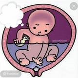 Telegram profile photo for Погружение в «Сила Рождения»
