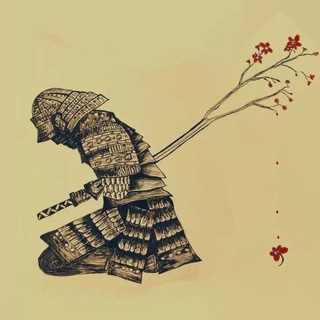 Telegram profile photo for sajad afsharian / سجاد افشاريان