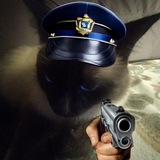 Telegram profile photo for ассоц