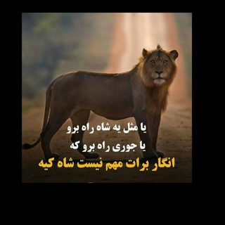 Telegram profile photo for کتاب صوتی