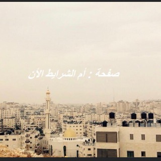 Telegram profile photo for إم الشرايط الآن