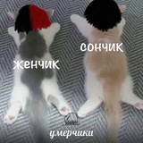 Telegram profile photo for больше не чбчг