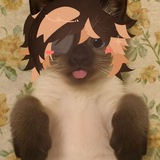 Telegram profile photo for тэгэкэ