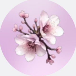 Telegram profile photo for Info