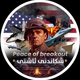Telegram profile photo for Peace ᵇʳᵉᵃᵏᵒᵘᵗ|Intilegence-زانیاری