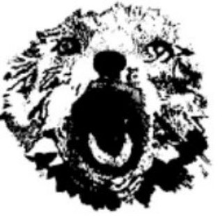 Telegram profile photo for Моим маленьким любителям экстремизма