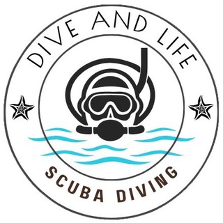 Telegram profile photo for Дайвинг в Нячанге | Вьетнам🤿 Курсы PADI 🐠 Дайвинг - туры 🌊