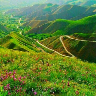 Telegram profile photo for کانال خبری دیزان