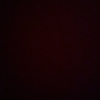 Telegram profile photo for backyard