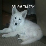 Telegram profile photo for ???