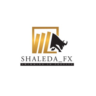 Telegram profile photo for Golden Momentum FX