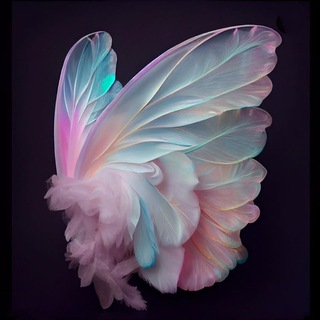 Telegram profile photo for 🎀فروشگاه آنجل🎀