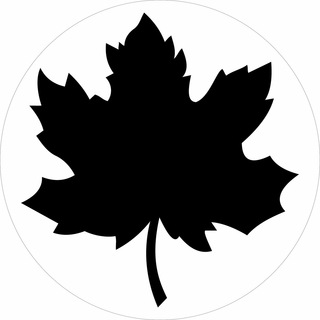 Telegram profile photo for πͺππππ
π π·ππππ
ππππ¨Π§Π°Ρ ΠΠ°Π½Π°Π΄Π°