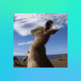 Telegram profile photo for 出海天花板