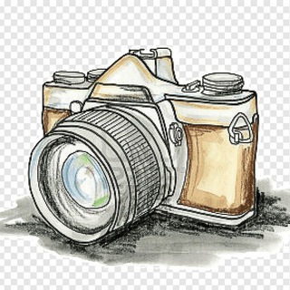 Telegram profile photo for Фотоконкурсы 📷 для Девушек 👧🏼
