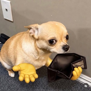Telegram profile photo for Барахоло4ка