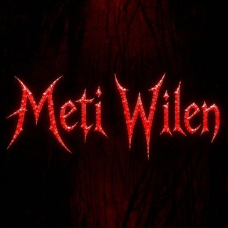 Telegram profile photo for Meti Wilen