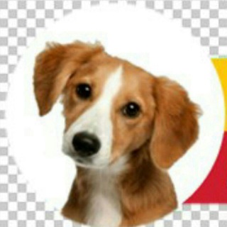 Telegram profile photo for جهان آفرینش