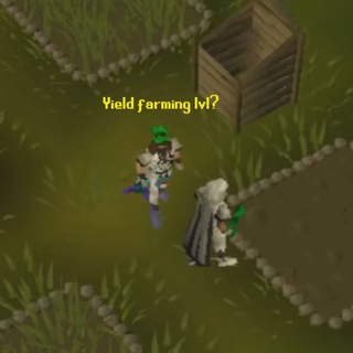 Telegram group profile photo for OSRS x DeFi || YieldScape