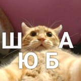 Telegram profile photo for Шутки, Юмор, Баяны, Анекдоты