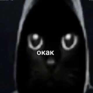 Telegram profile photo for велвин