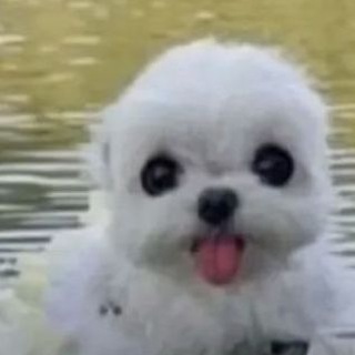 Telegram profile photo for meandoll (миндол)