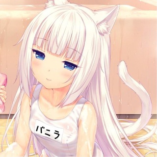 Telegram profile photo for playboybunny feedback