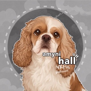 Telegram profile photo for ᴀᴍᴜɴɪ.ʜᴀʟʟ