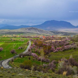 Telegram profile photo for صفحه رسمی روستای برجک زیبا