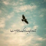 Telegram profile photo for 🌝🥀روز تاریک🥀🌚