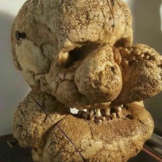 Telegram profile photo for Super duper odontologist