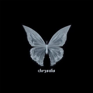 Telegram profile photo for chrysalis
