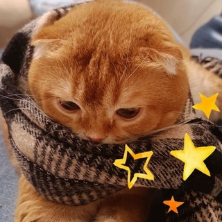 Telegram profile photo for -๐ถ๐๐๐๐๐ ๐ซ๐๐๐๐ูญ
