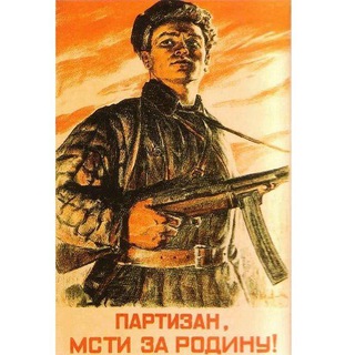 Telegram profile photo for Партизаны за Родину