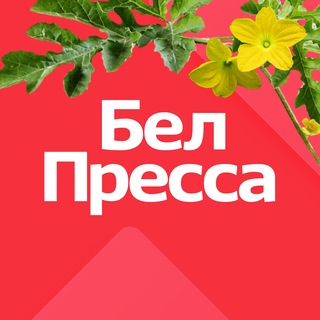 Telegram profile photo for БелПресса | Новости Белгорода и Белгородской области