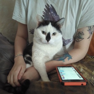 Telegram profile photo for Кот Навальный