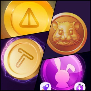 Telegram profile photo for راکی ربیت-ماسک امپایر- کارت های بازی ایردراپی-oppo game(اپو گیم)
