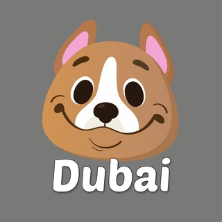 Telegram profile photo for Дубай аренда квартир | Domiko