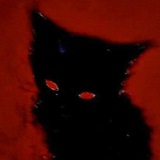 Telegram profile photo for β πππππππ'π WTF?! ππππ β