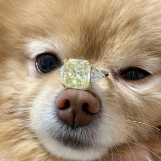 Telegram profile photo for Бриллианты в Трусах