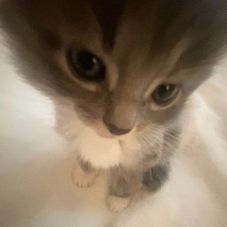 Telegram profile photo for в ижике любят