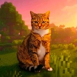 Telegram profile photo for kitayako